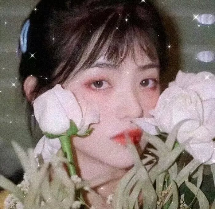心理追凶第一季